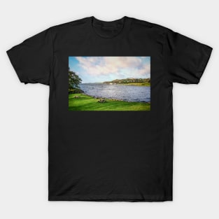 A view of the Hafrsfjord T-Shirt